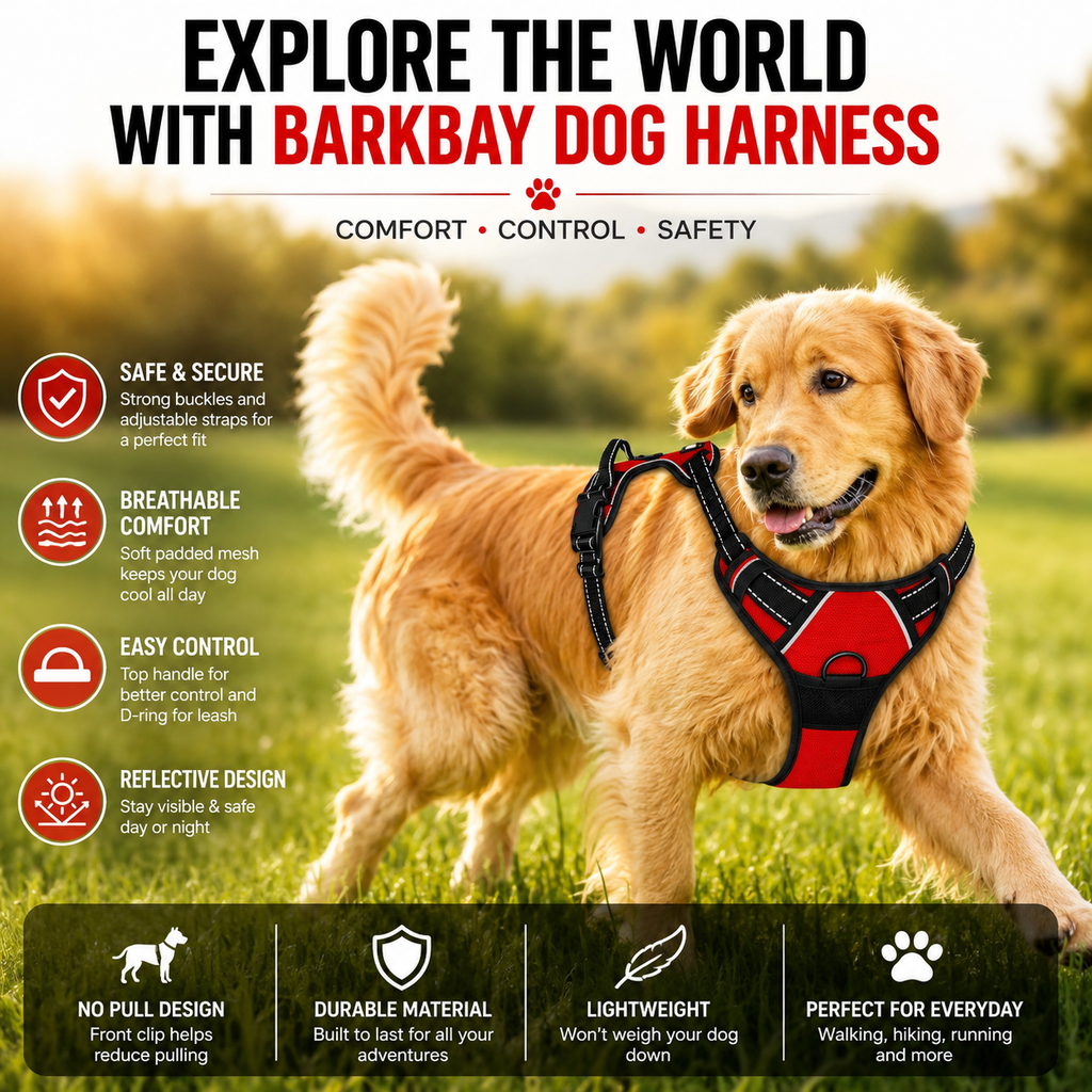 Pawnellya ComfortFit™ — Harnais Confortable Anti-Traction pour Chien