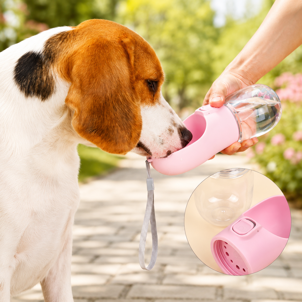 Pawnellya GoBottle™ — Gourde Portable pour Chien en Promenade & Voyage