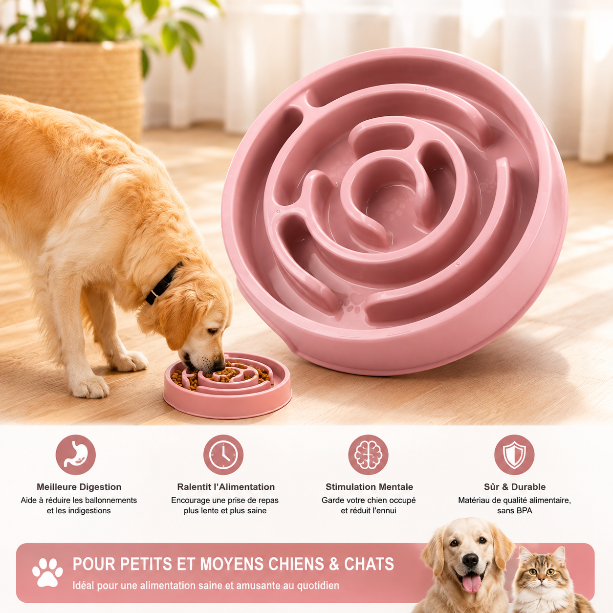 Gamelle lente pour chien, antidérapante, anti-glouton, pour une alimentation plus lente, gamelle écologique pour chiens de grande, moyenne et petite taille et chiots.